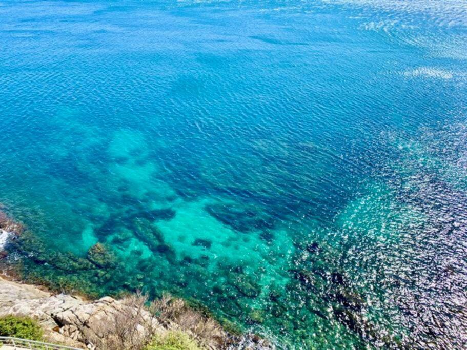 Les Pieds Dans L'Eau, La Tete Dans Les Nuages, Roses Appartement Buitenkant foto